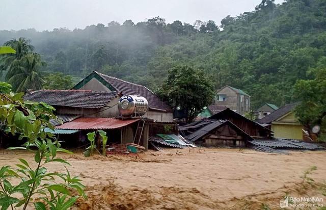 ky son nghe an 1664688269269260811196